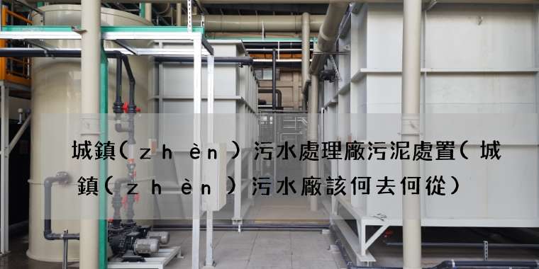 城鎮(zhèn)污水處理廠污泥處置(城鎮(zhèn)污水廠該何去何從)